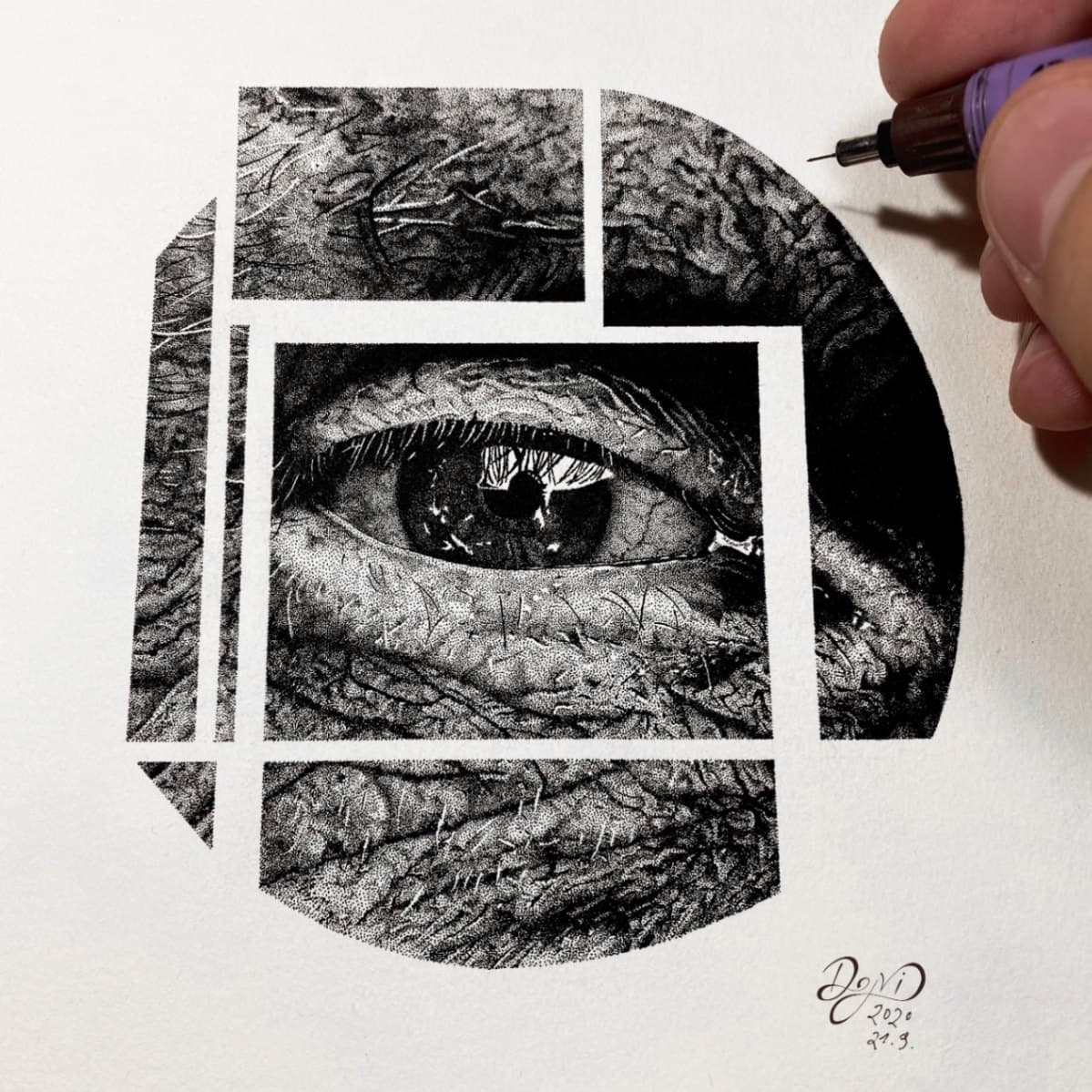 The Eye