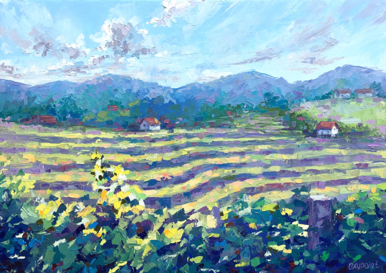 "The vineyards of Haloze"