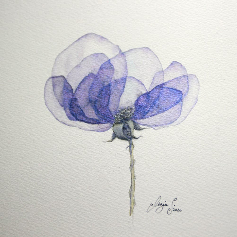 Flower being