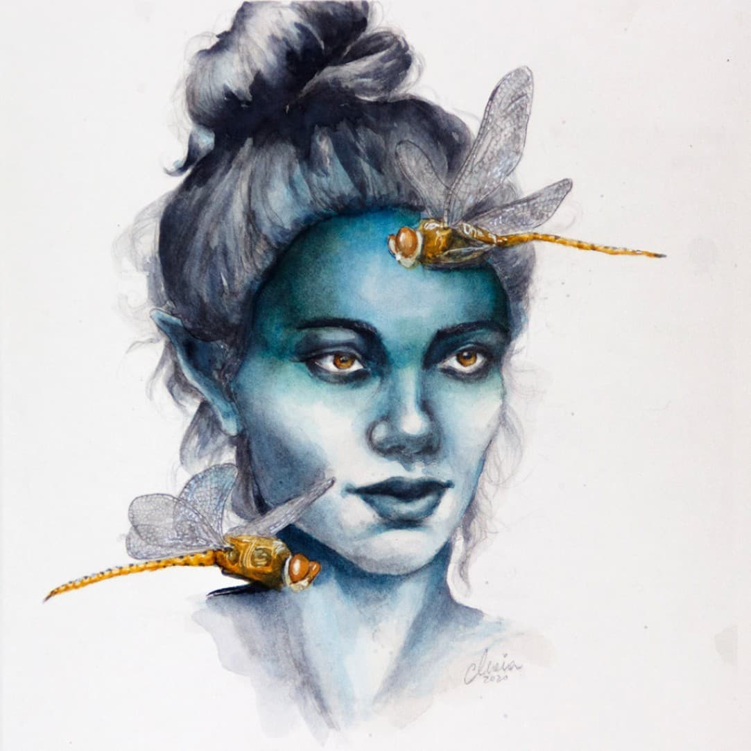 For the love of dragonflies