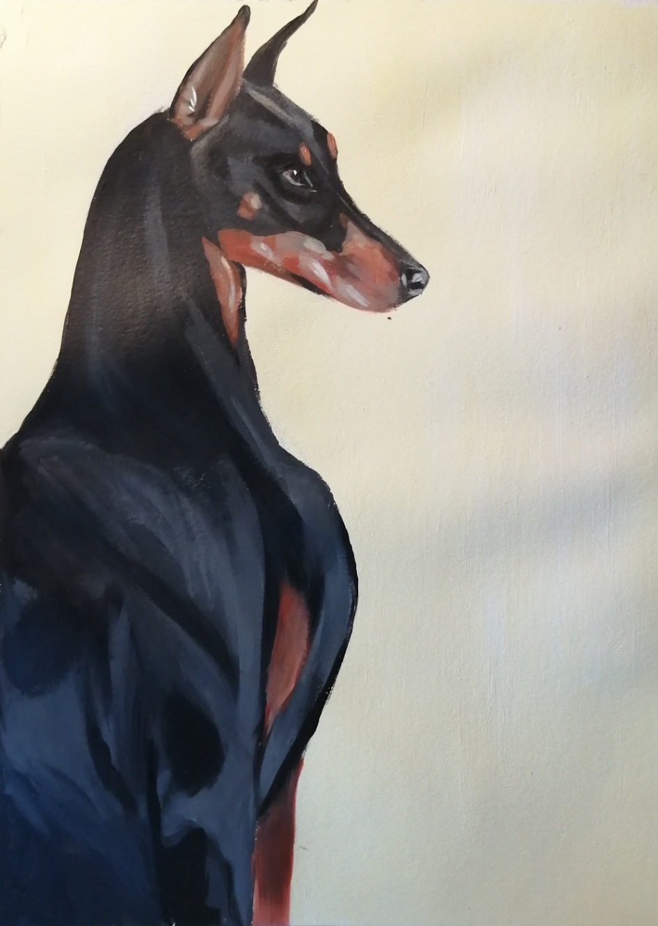 Doberman