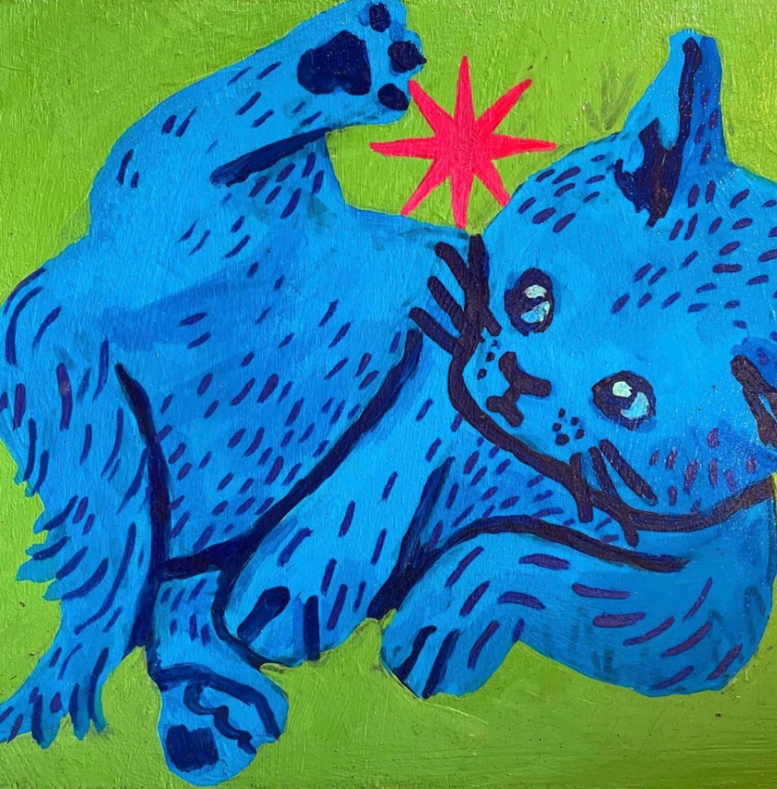 Nikokitten