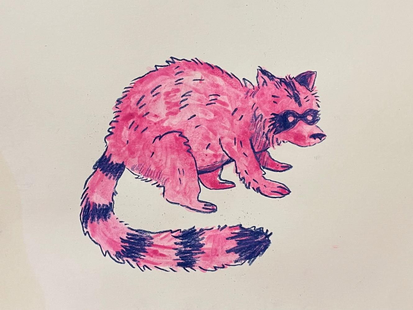 Rakun