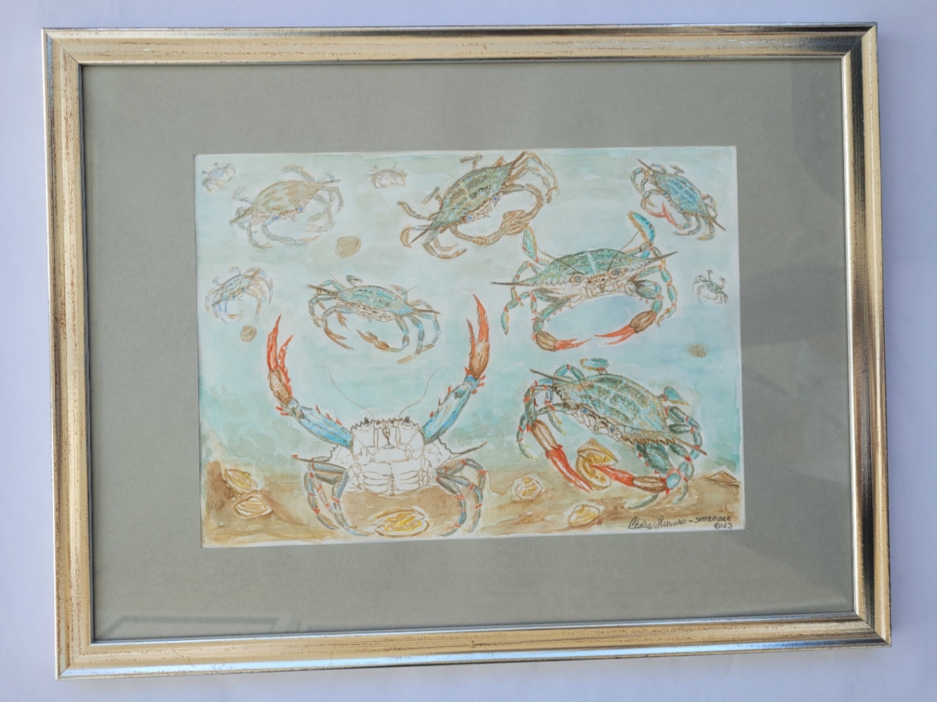 The invasion of the Blue Crabs
