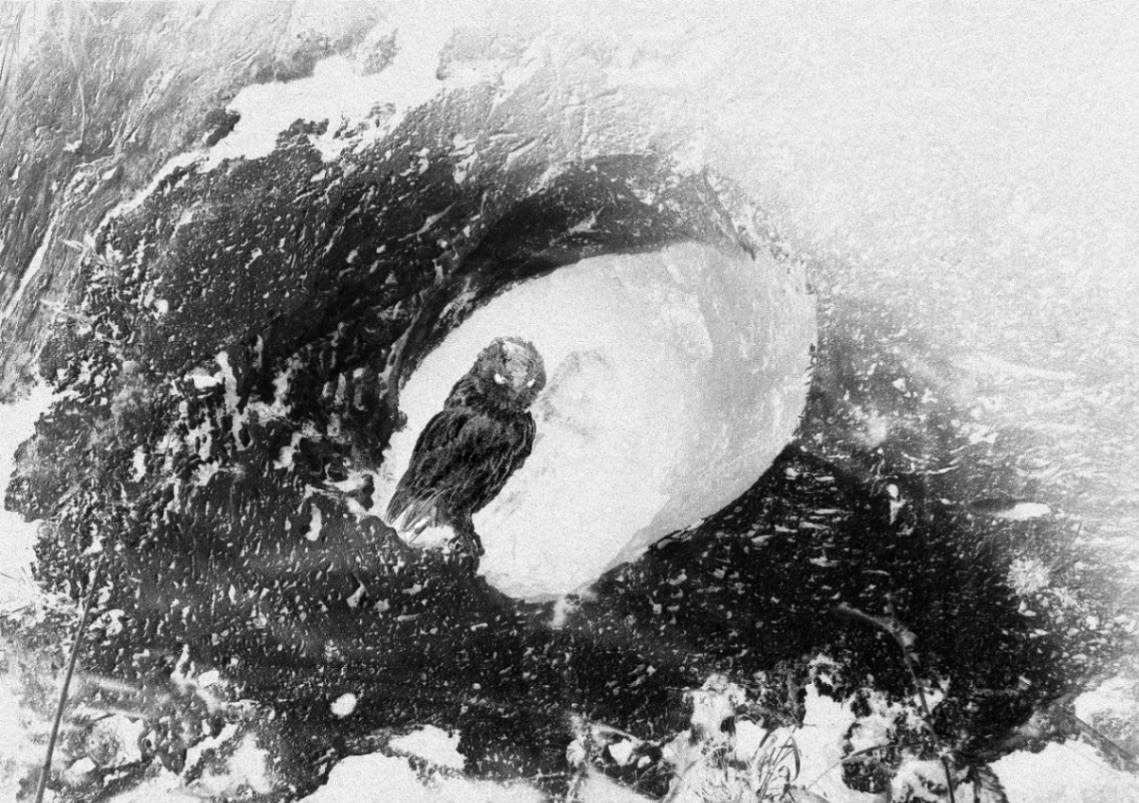 Kvartir II