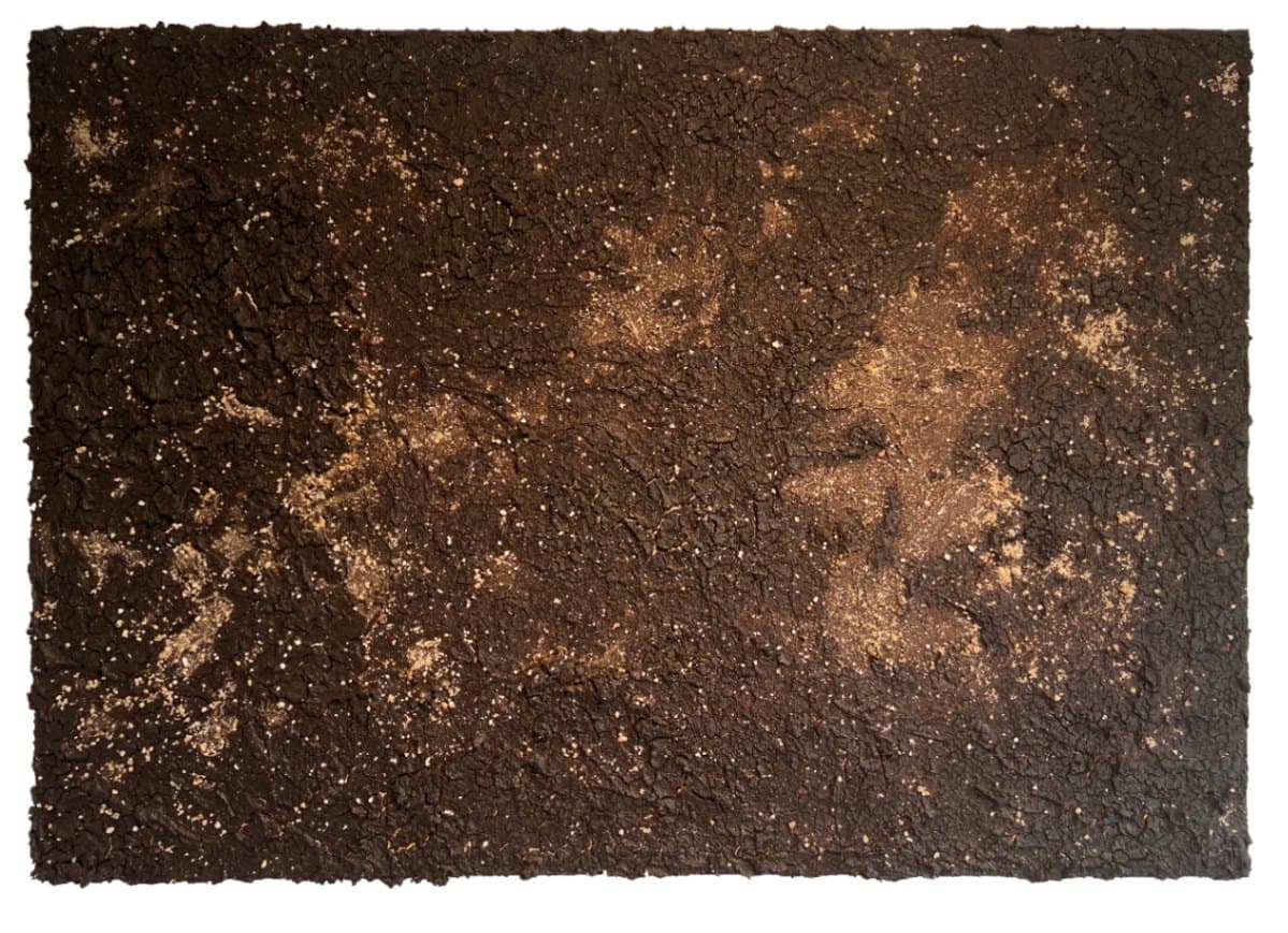 Coffee-19