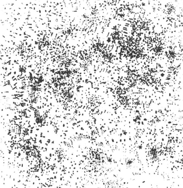 Field of Dots